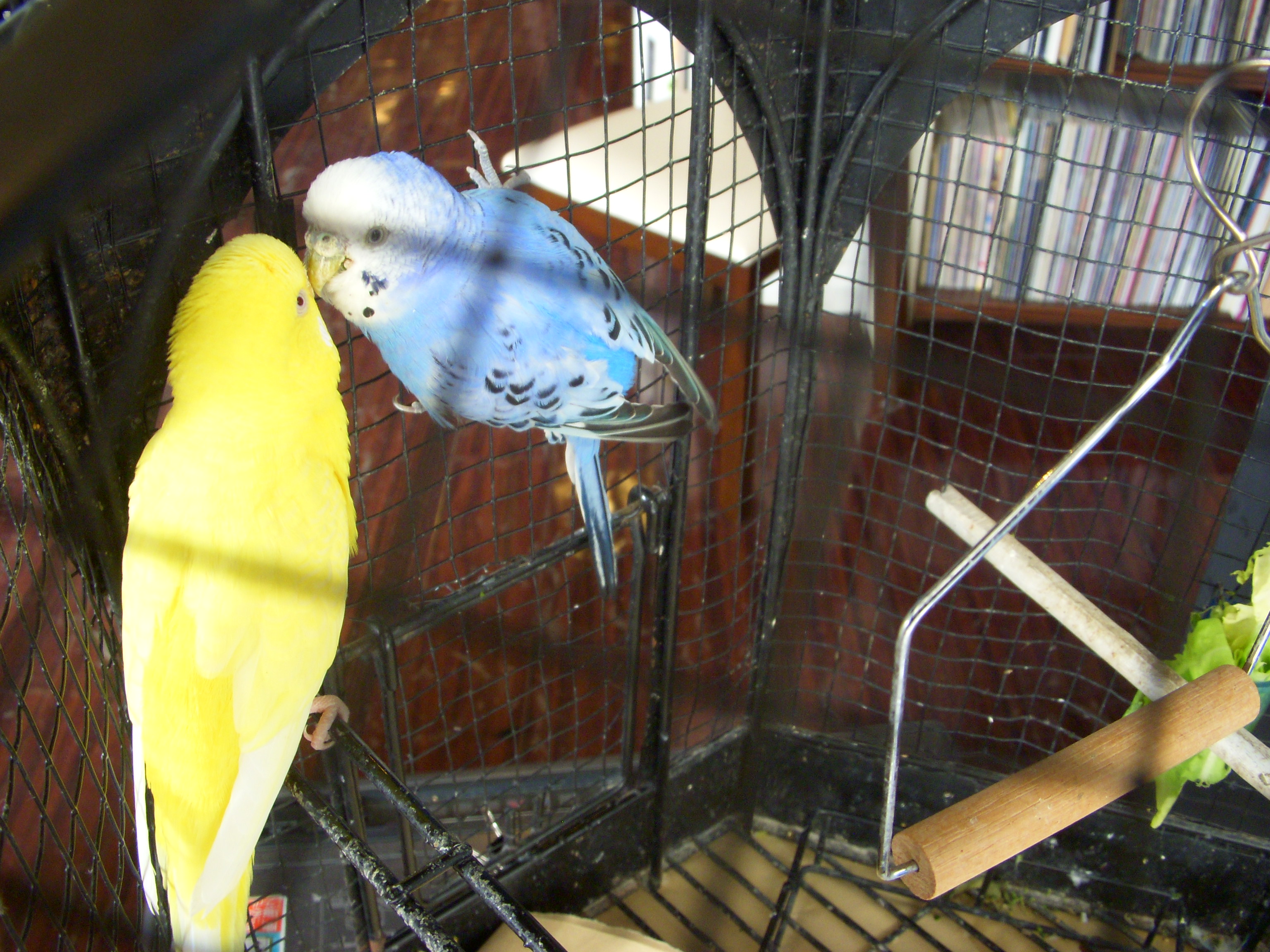 「恋のロンドン狂騒曲」絶賛上映中！