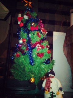 2013-12-10-21-00-24_deco