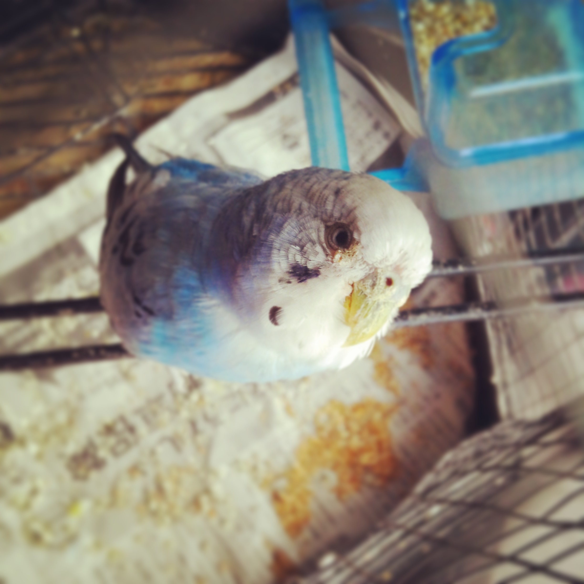 今年もお世話になりました。