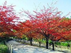 2014-10-24-18-13-58_deco