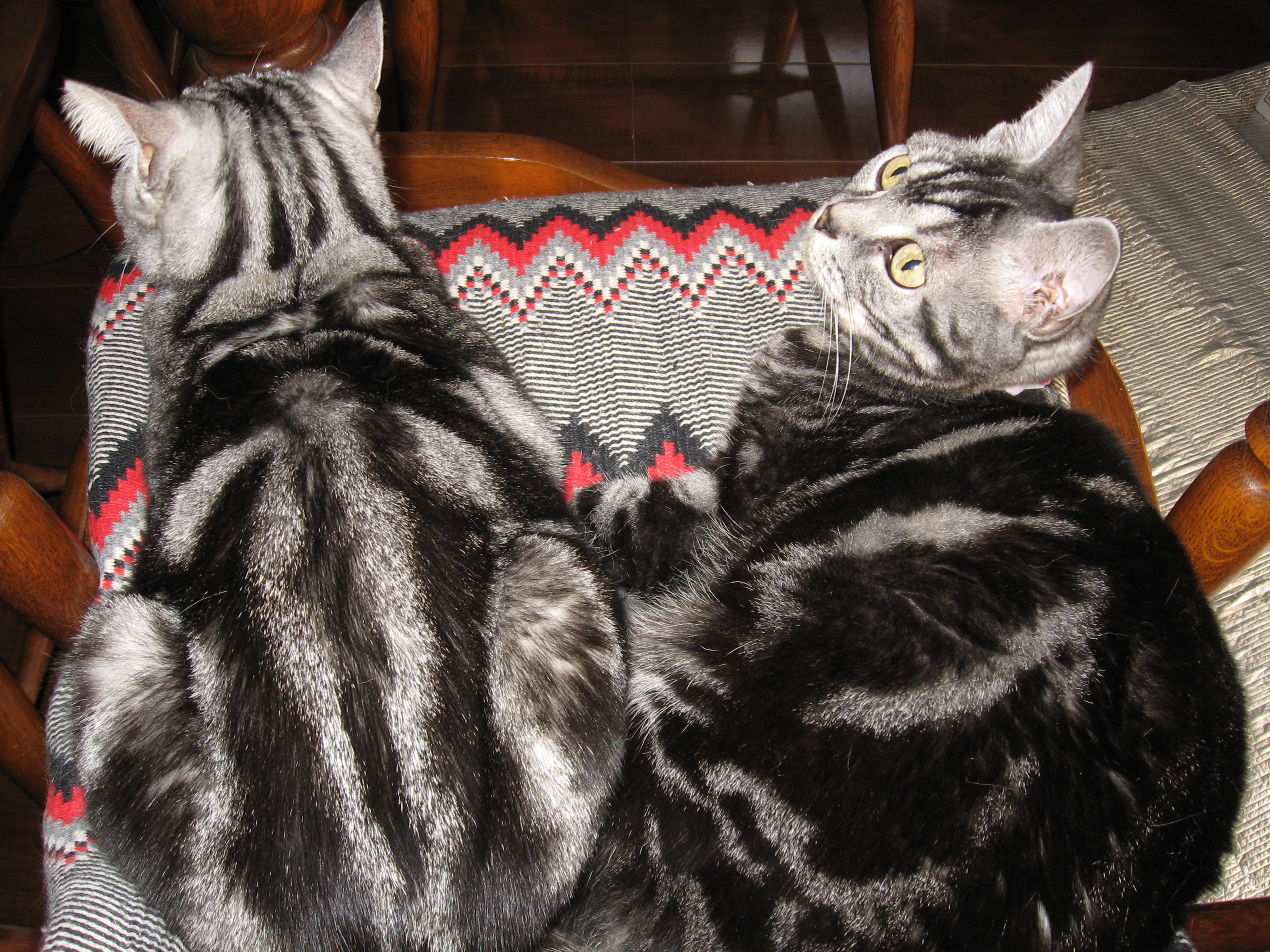 【30年目チームブログ】本日封切り！