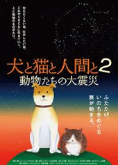 web2013犬と猫と人間と2