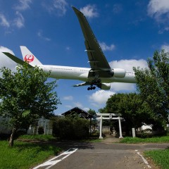 三里塚を生きるP