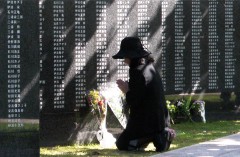 沖縄うりずんの雨main