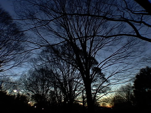 光と影を紡ぐ異才 七里圭監督特集上映