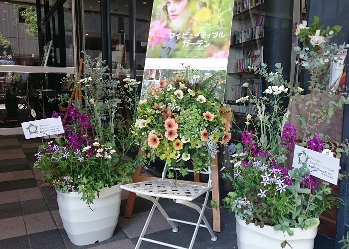 『マイ ビューティフル ガーデン』×みつけイングリッシュガーデン
