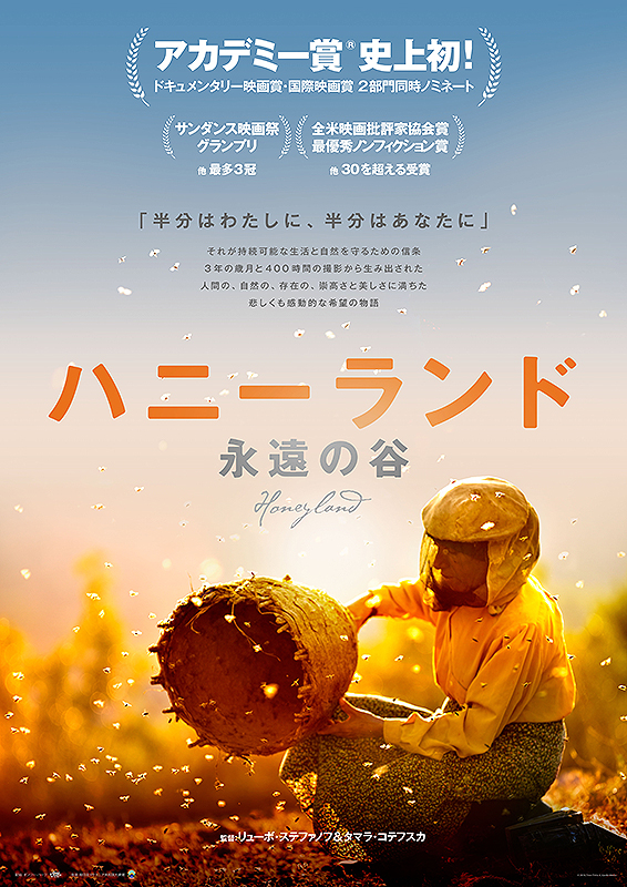 ハニーランド　永遠の谷