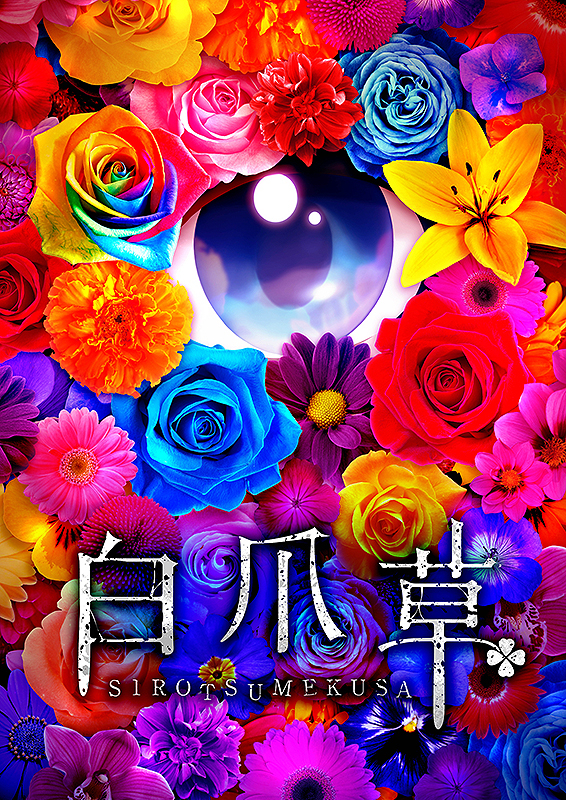 白爪草【1日限定特別上映】