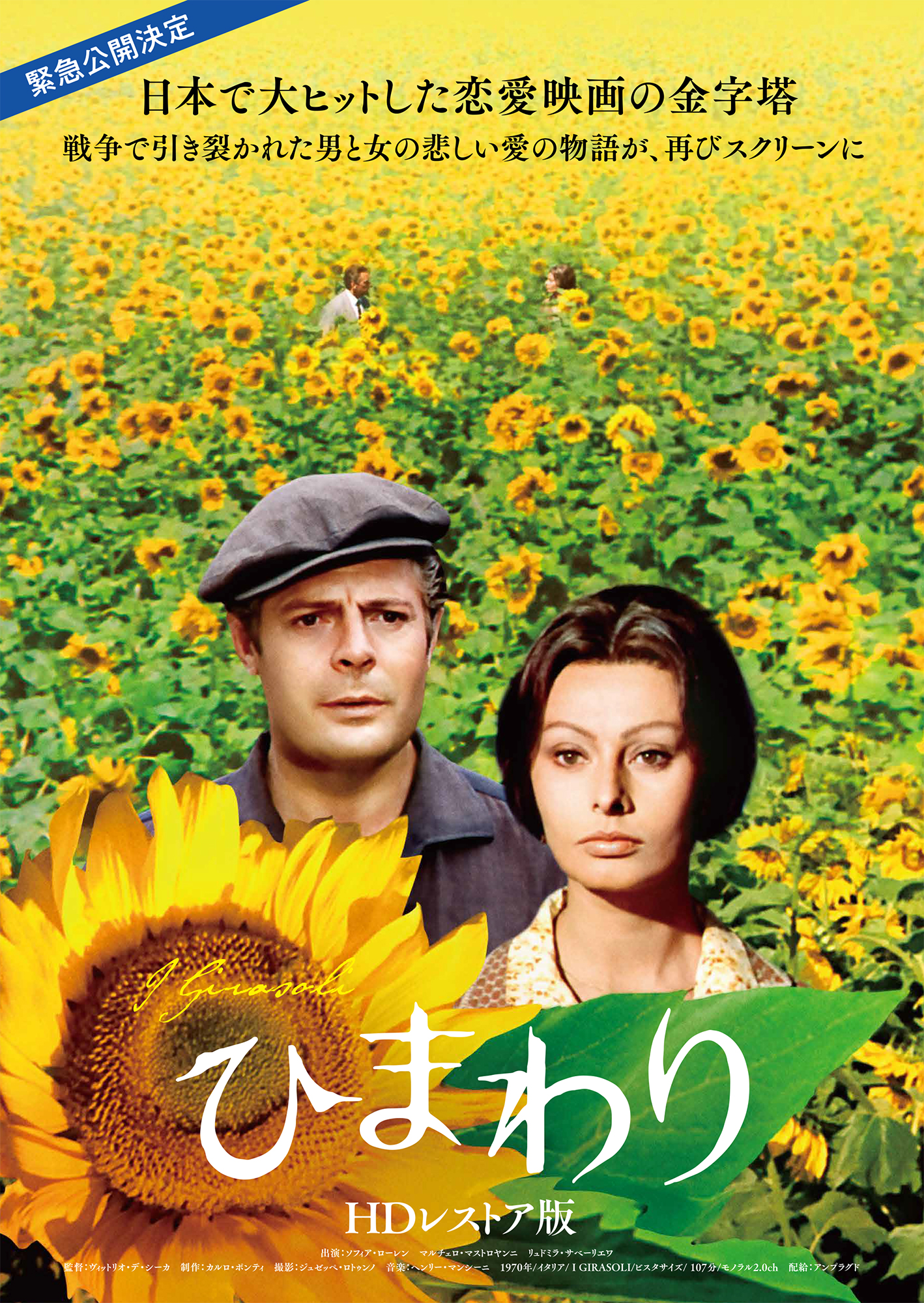 ひまわり　HDレストア版