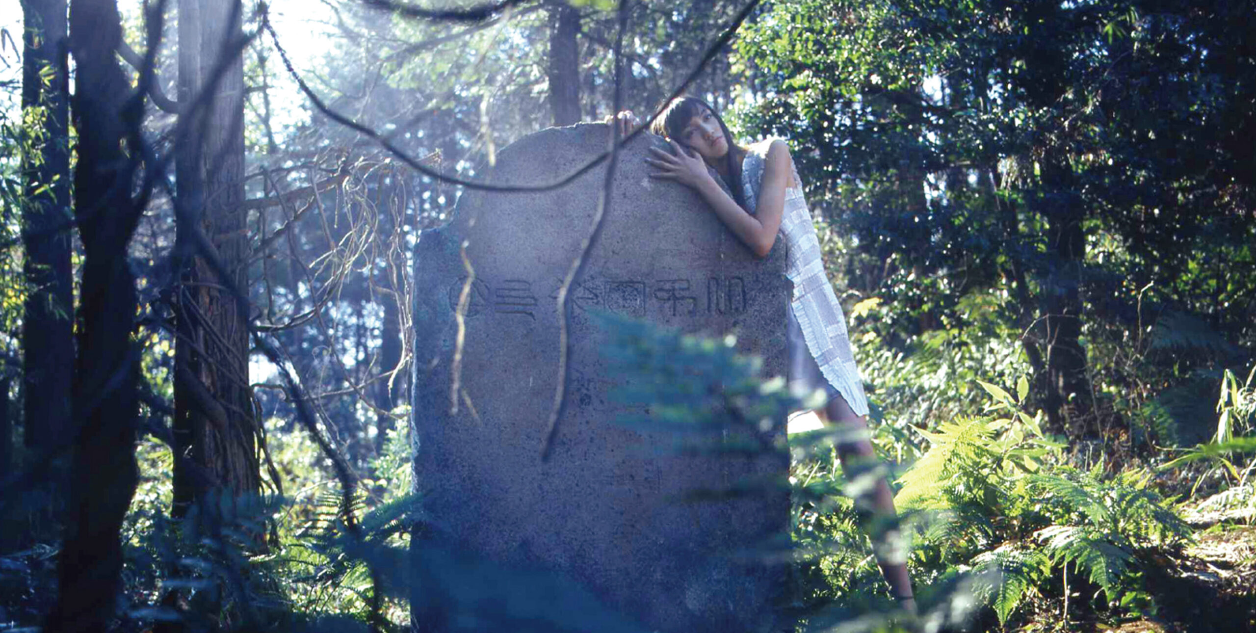 program blue 視覚のエクスタシー《Visualism 手塚眞アート映画集》