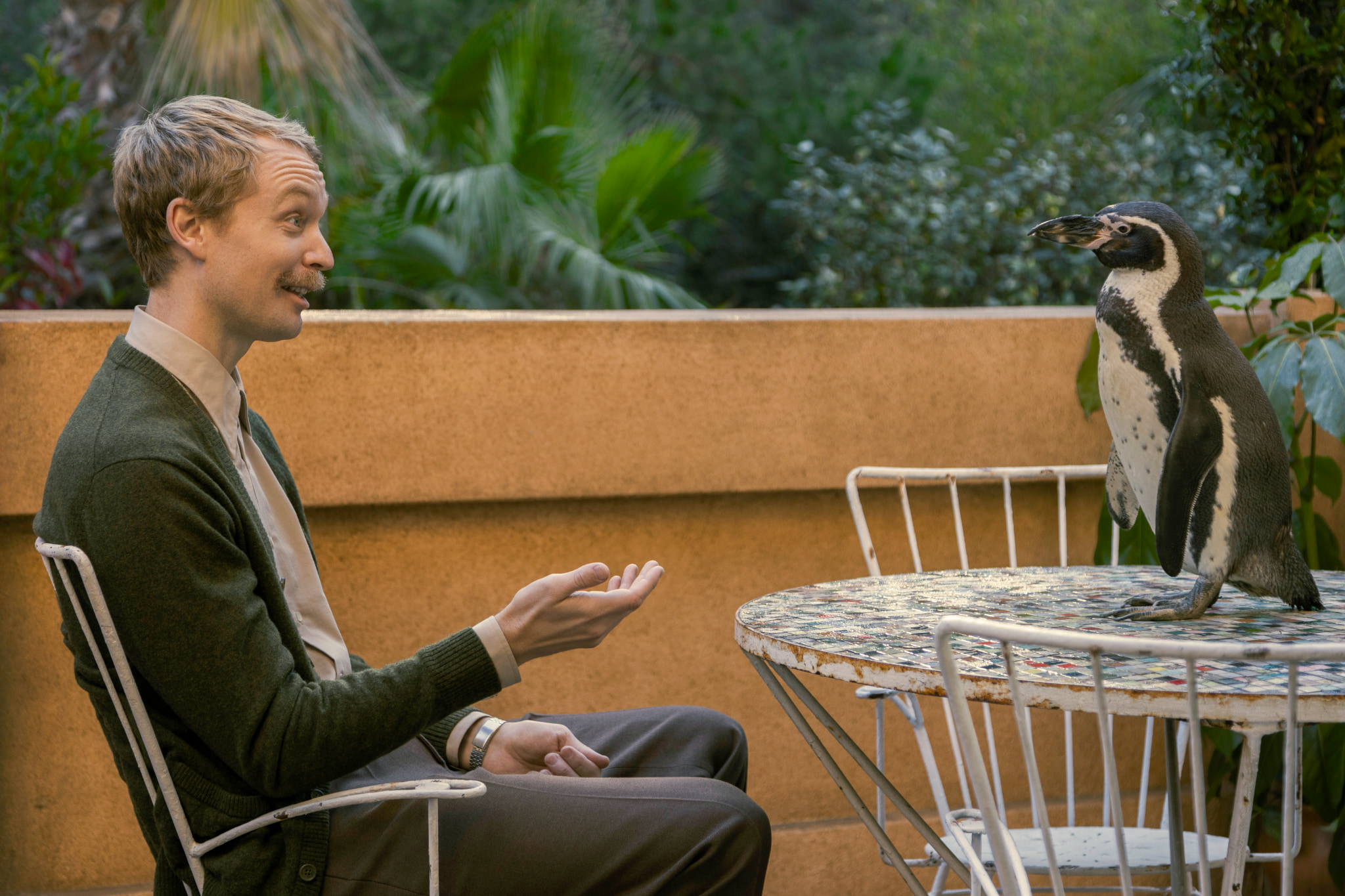 ペンギン・レッスン