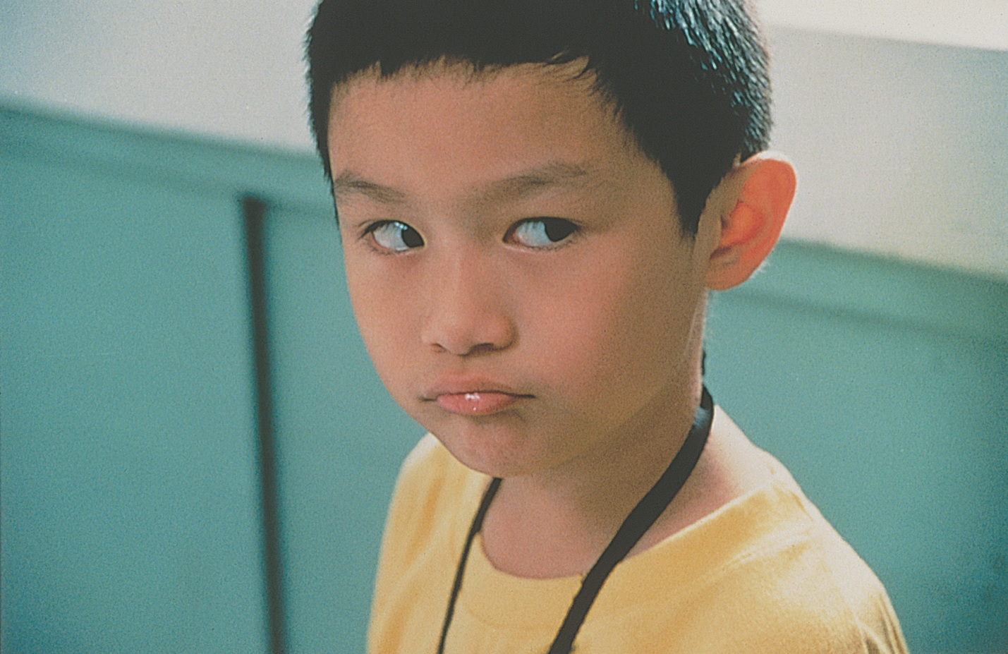ヤンヤン　夏の想い出