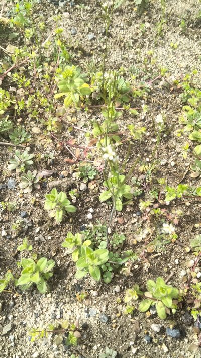 編集部 ‐ お久しぶりです