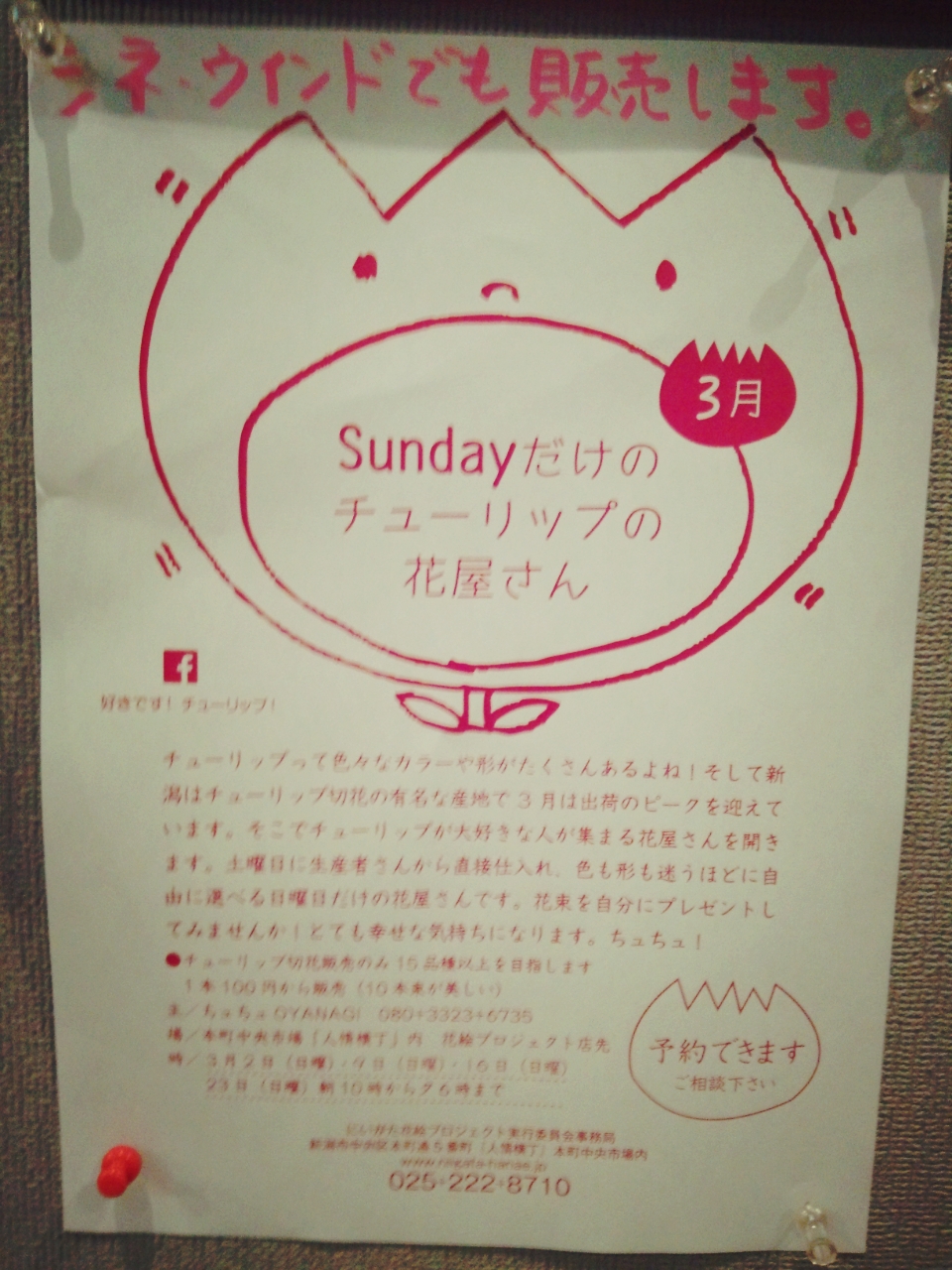 いよいよ22日が最終！3月限定☆Sundayだけのチューリップの花屋さん