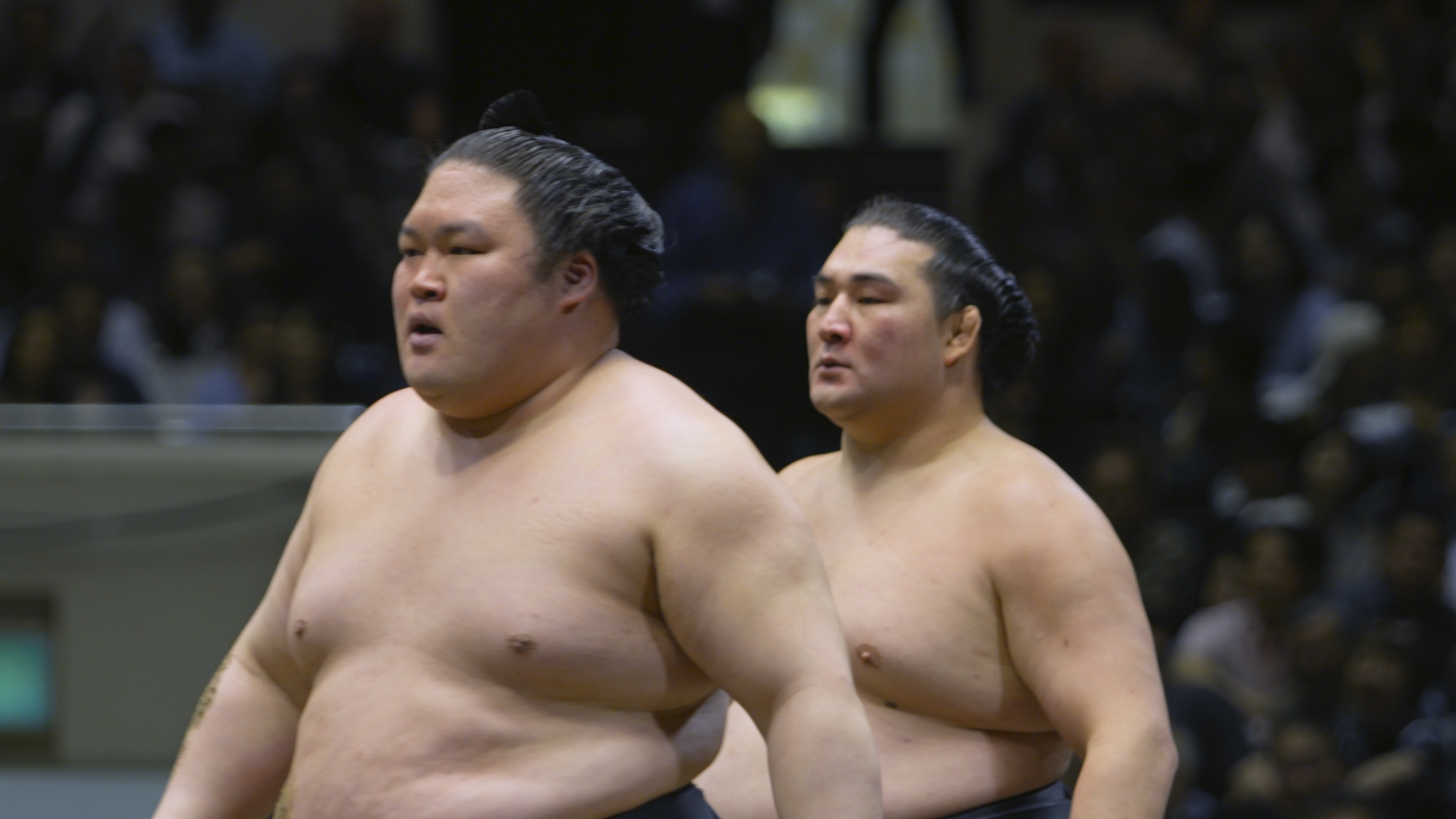 相撲道 サムライを継ぐ者たち