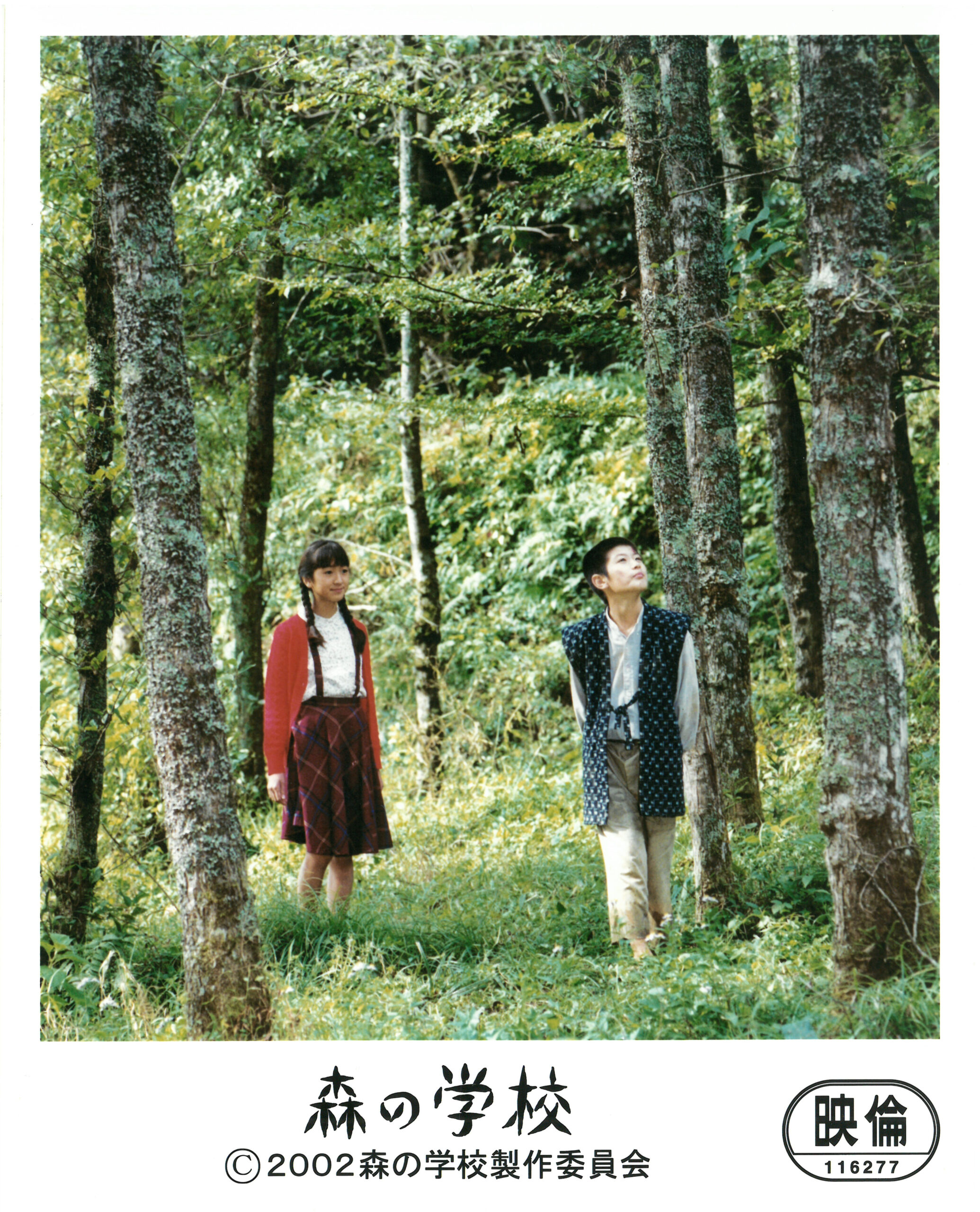森の学校【2022年7月上映】