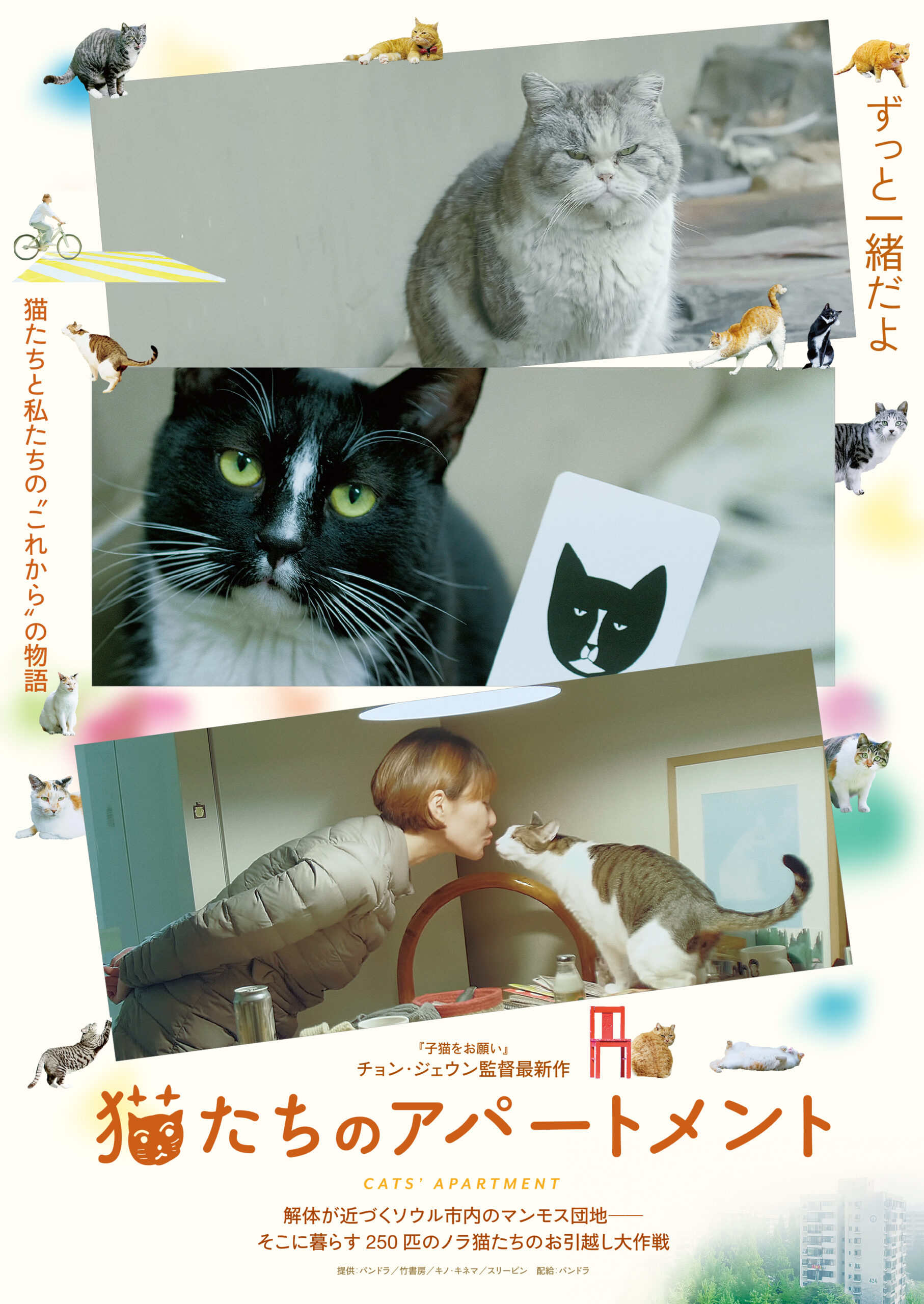 6/17(土)『猫たちのアパートメント』地域猫トーク開催