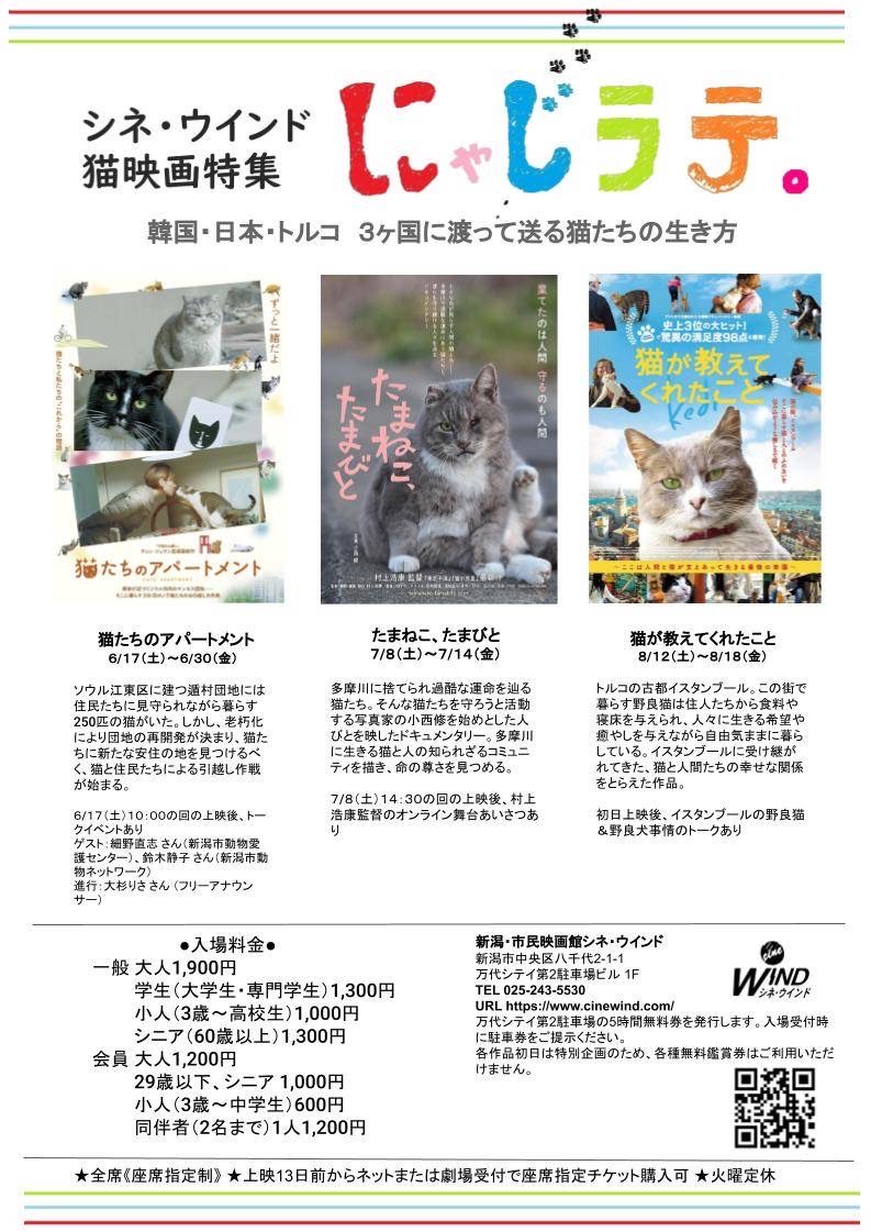猫映画特集《にゃじラテ》