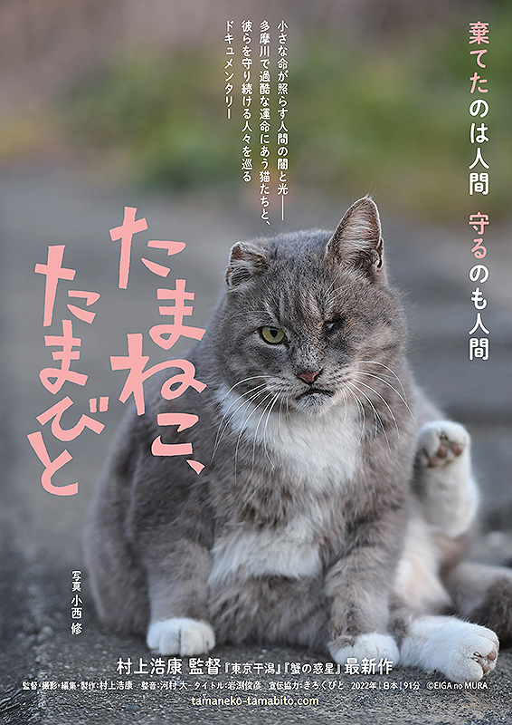 7/8(土)『たまねこ、たまびと』オンライン舞台あいさつ