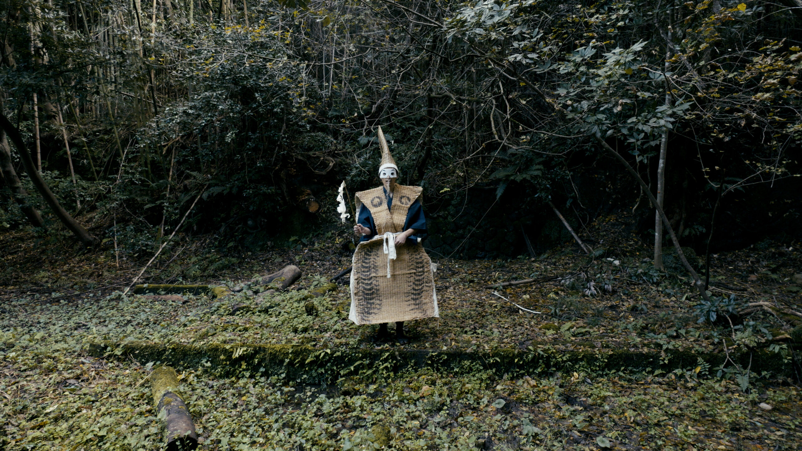 6/14(日)『佐渡、もう一つの世界遺産』一日限定上映